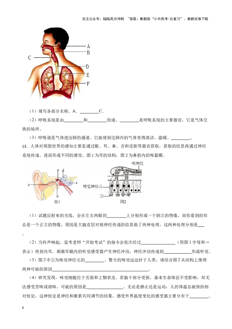 2024年中考生物专题复习：读图理解题（含答案）_02中考总复习（2026版更新中）_08-生物-中考总复习_2024年中考复习资料_二轮复习_备考2024中考生物二轮复习题型突破专练