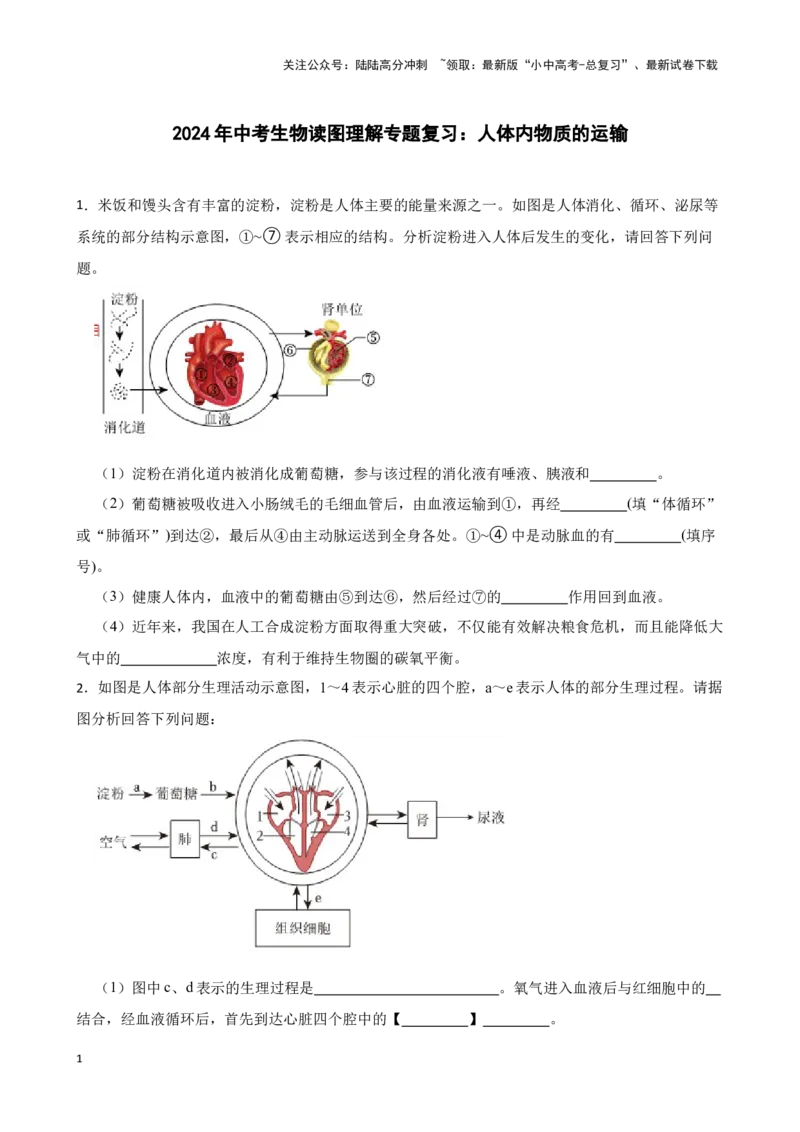 2024年中考生物读图理解专题复习：人体内物质的运输（含答案）_02中考总复习（2026版更新中）_08-生物-中考总复习_2024年中考复习资料_二轮复习