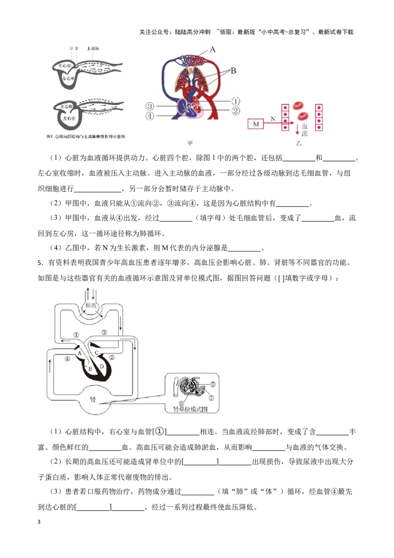 2024年中考生物读图理解专题复习：人体内物质的运输（含答案）_02中考总复习（2026版更新中）_08-生物-中考总复习_2024年中考复习资料_二轮复习