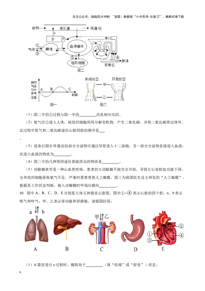 2024年中考生物读图理解专题复习：人体内物质的运输（含答案）_02中考总复习（2026版更新中）_08-生物-中考总复习_2024年中考复习资料_二轮复习