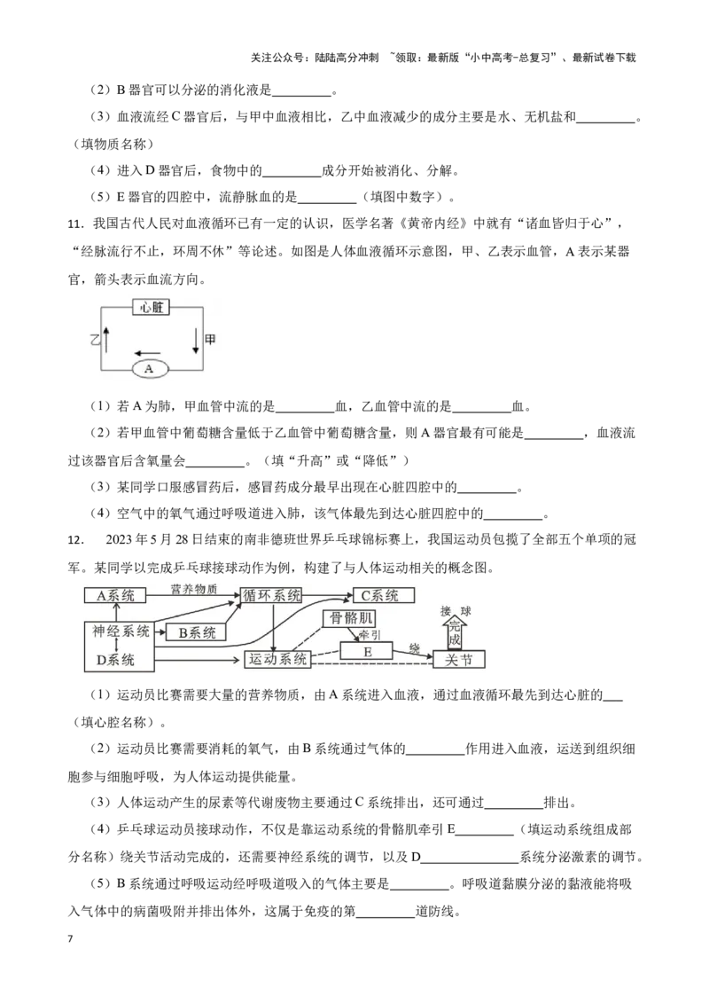 2024年中考生物读图理解专题复习：人体内物质的运输（含答案）_02中考总复习（2026版更新中）_08-生物-中考总复习_2024年中考复习资料_二轮复习