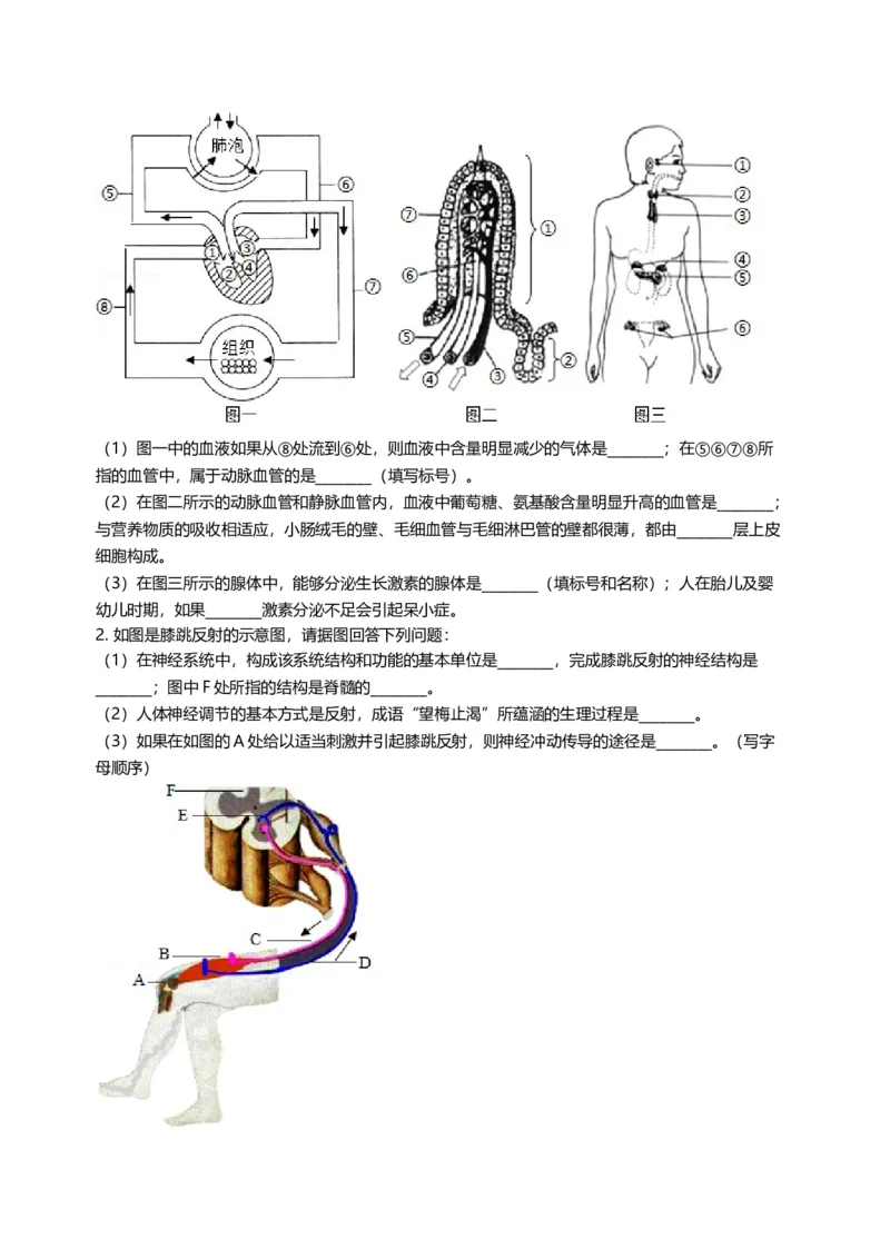 2005年江苏省徐州市中考生物试题及解析_江苏省中考_江苏省中考历年真题_7.江苏中考生物(2010年-2024年）_9江苏省徐州市中考生物（2004-2014年，2020-2024）真题卷