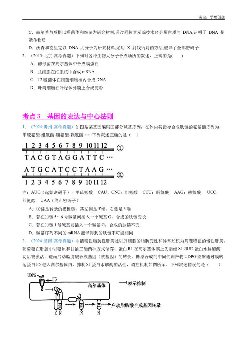 专题10遗传的分子基础好题汇编十年（2015-2024）高考生物真题分项汇编（全国通用）（原卷版）_生物真题汇总_十年（2014-2024）高考生物真题分项汇编（全国通用）
