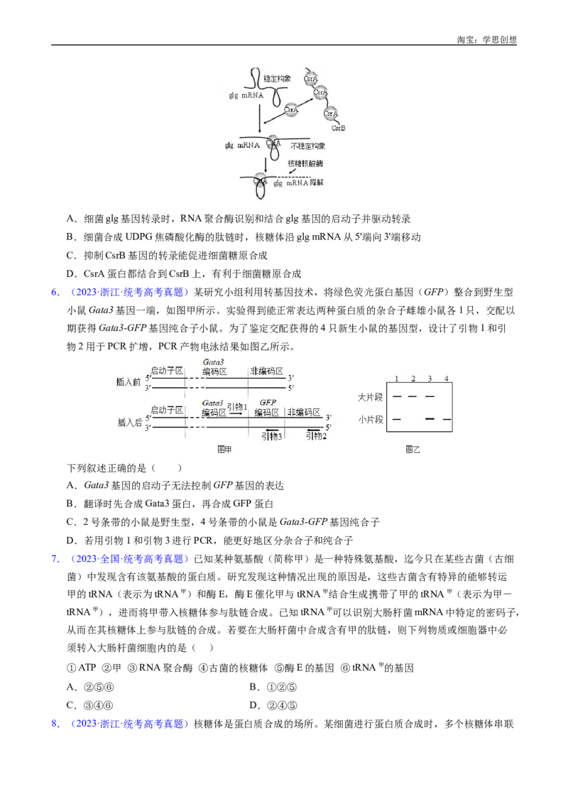 专题10遗传的分子基础好题汇编十年（2015-2024）高考生物真题分项汇编（全国通用）（原卷版）_生物真题汇总_十年（2014-2024）高考生物真题分项汇编（全国通用）