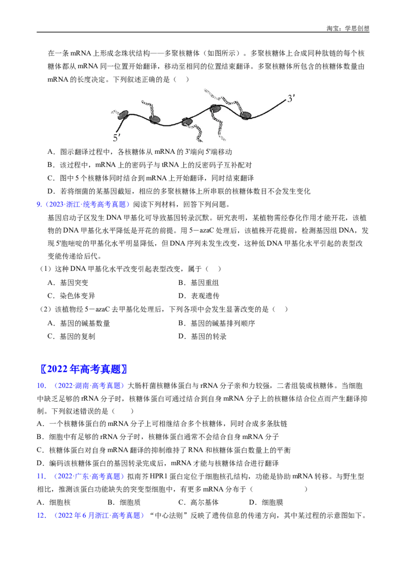 专题10遗传的分子基础好题汇编十年（2015-2024）高考生物真题分项汇编（全国通用）（原卷版）_生物真题汇总_十年（2014-2024）高考生物真题分项汇编（全国通用）