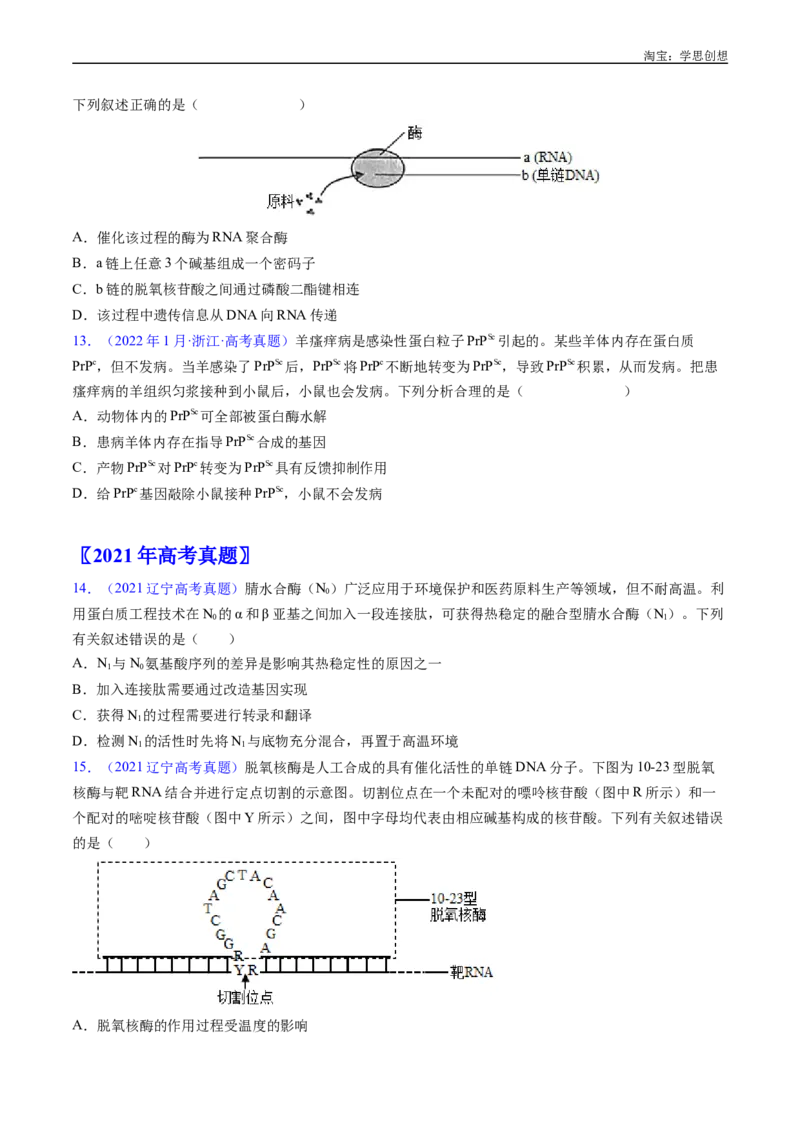 专题10遗传的分子基础好题汇编十年（2015-2024）高考生物真题分项汇编（全国通用）（原卷版）_生物真题汇总_十年（2014-2024）高考生物真题分项汇编（全国通用）