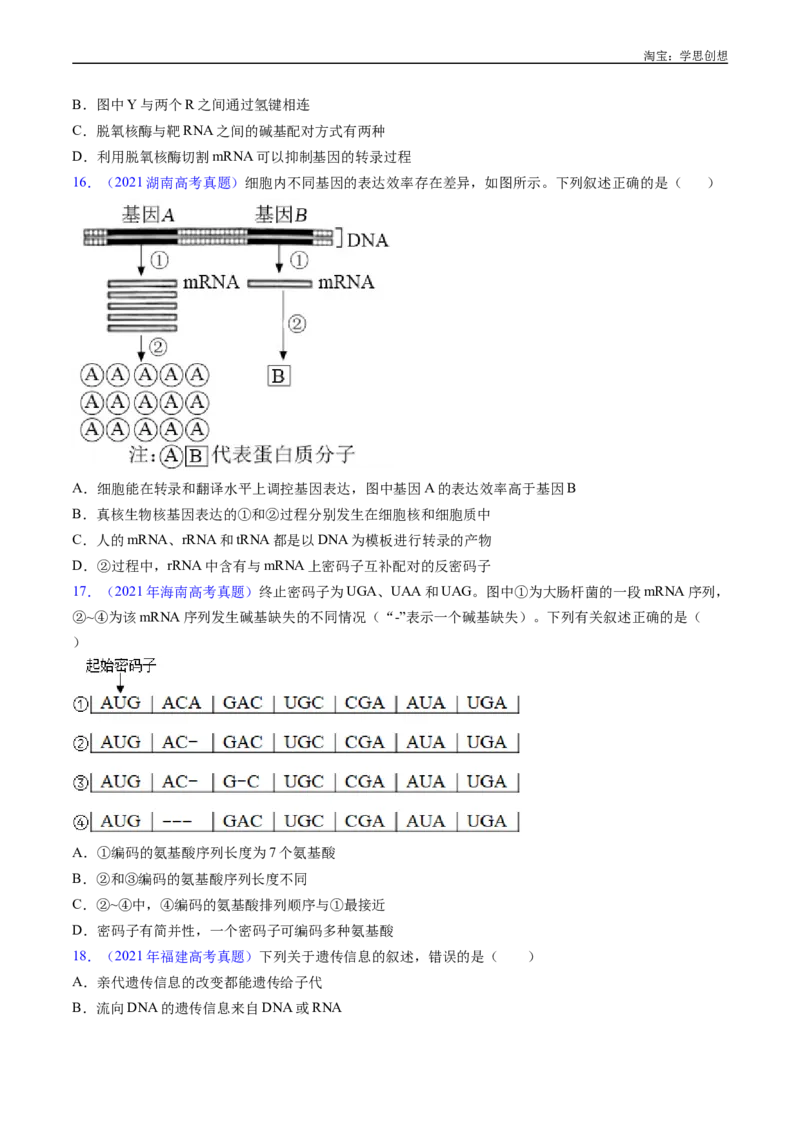专题10遗传的分子基础好题汇编十年（2015-2024）高考生物真题分项汇编（全国通用）（原卷版）_生物真题汇总_十年（2014-2024）高考生物真题分项汇编（全国通用）