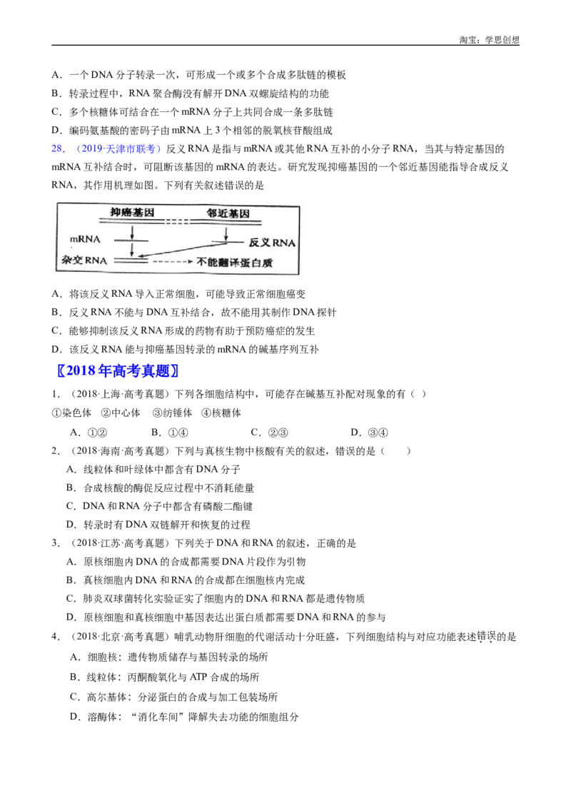 专题10遗传的分子基础好题汇编十年（2015-2024）高考生物真题分项汇编（全国通用）（原卷版）_生物真题汇总_十年（2014-2024）高考生物真题分项汇编（全国通用）