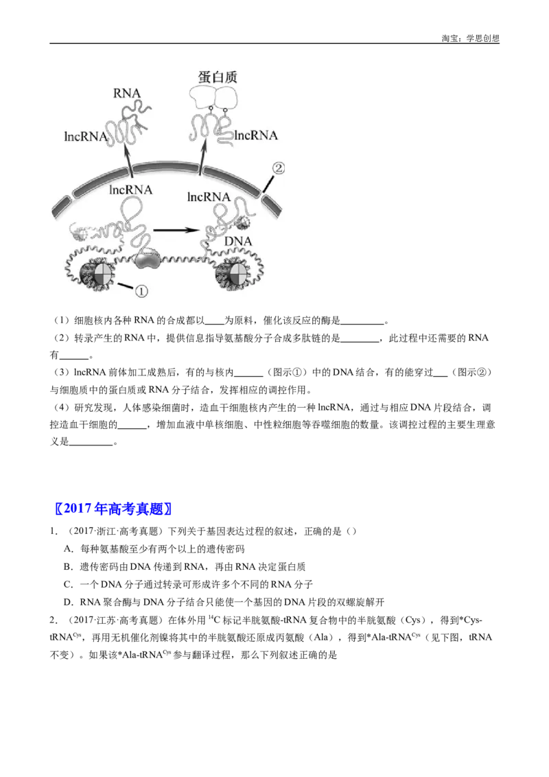 专题10遗传的分子基础好题汇编十年（2015-2024）高考生物真题分项汇编（全国通用）（原卷版）_生物真题汇总_十年（2014-2024）高考生物真题分项汇编（全国通用）