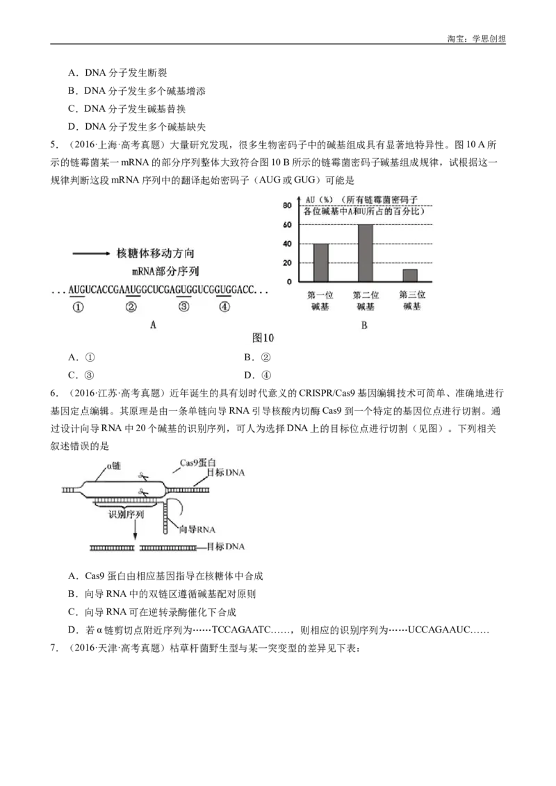 专题10遗传的分子基础好题汇编十年（2015-2024）高考生物真题分项汇编（全国通用）（原卷版）_生物真题汇总_十年（2014-2024）高考生物真题分项汇编（全国通用）