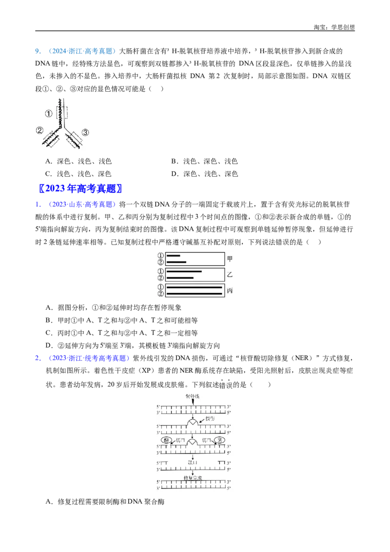 专题10遗传的分子基础好题汇编十年（2015-2024）高考生物真题分项汇编（全国通用）（原卷版）_生物真题汇总_十年（2014-2024）高考生物真题分项汇编（全国通用）