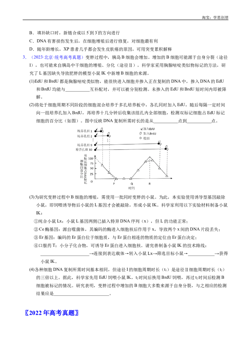 专题10遗传的分子基础好题汇编十年（2015-2024）高考生物真题分项汇编（全国通用）（原卷版）_生物真题汇总_十年（2014-2024）高考生物真题分项汇编（全国通用）