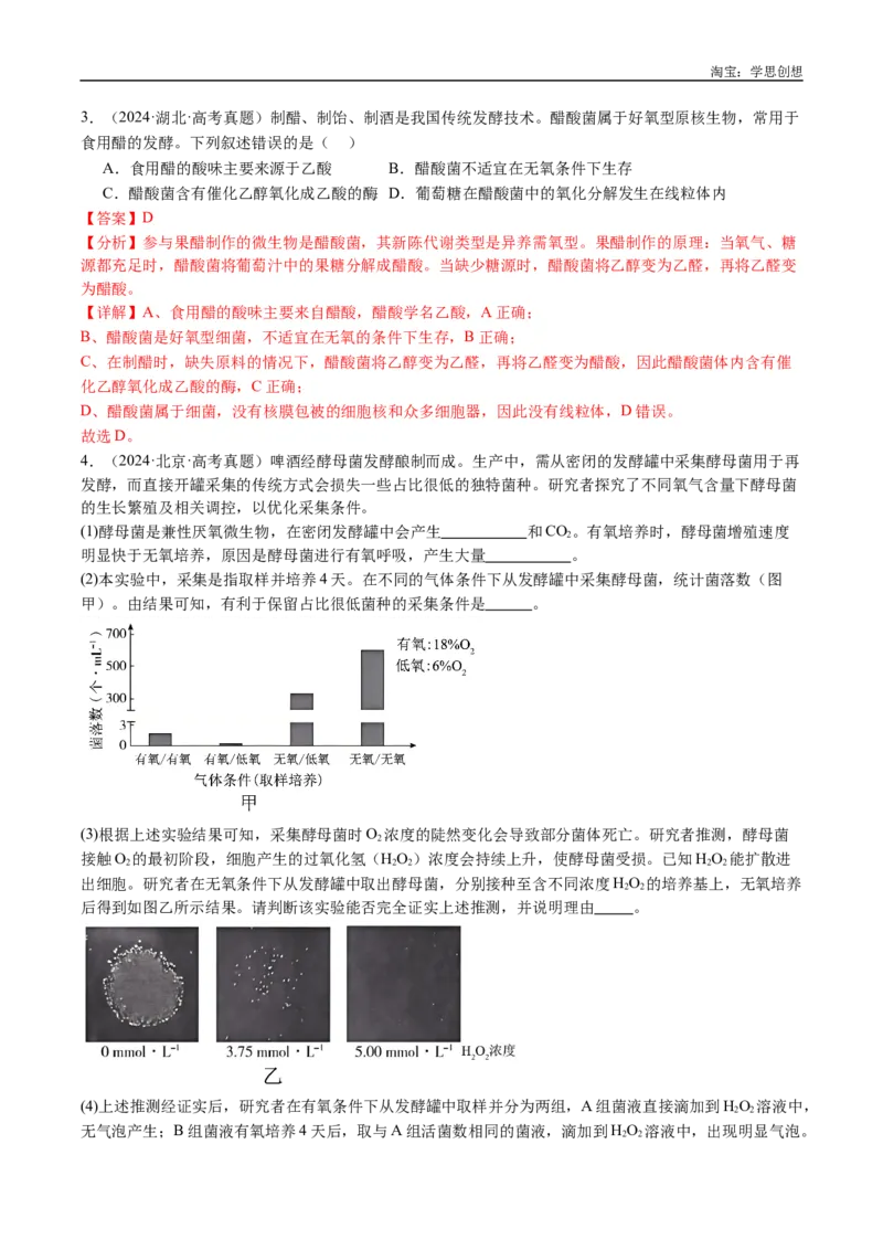 专题23发酵工程-好题汇编十年（2015-2024）高考生物真题分类汇编（全国通用）（解析版）_生物真题汇总_十年（2014-2024）高考生物真题分项汇编（全国通用）