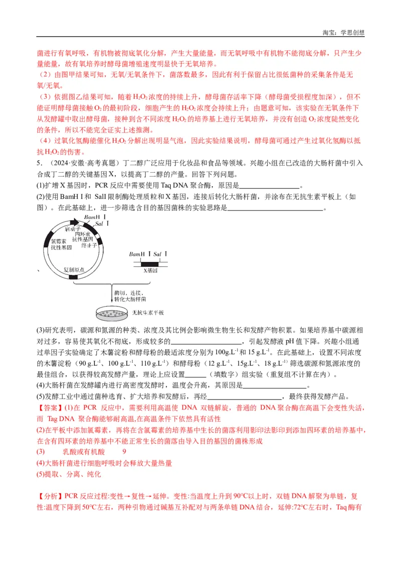 专题23发酵工程-好题汇编十年（2015-2024）高考生物真题分类汇编（全国通用）（解析版）_生物真题汇总_十年（2014-2024）高考生物真题分项汇编（全国通用）