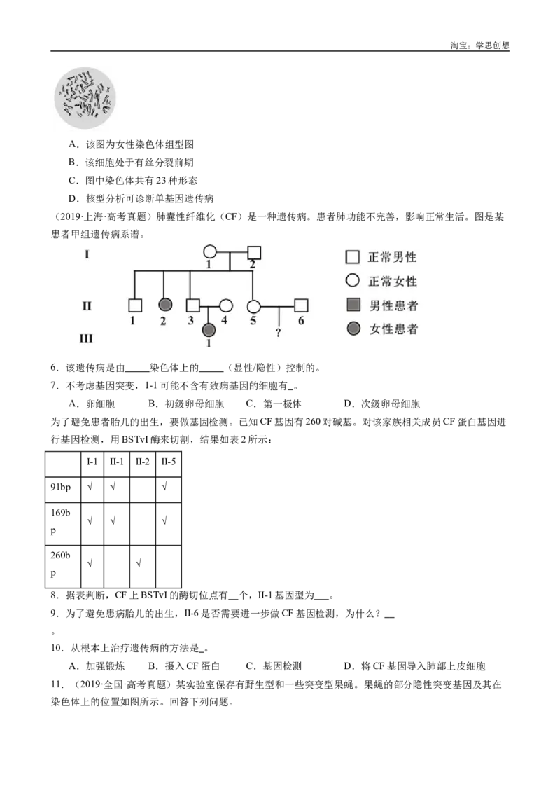 专题13伴性遗传和人类遗传病-好题汇编十年（2015-2024）高考生物真题分类汇编（全国通用）（原卷版）_生物真题汇总_十年（2014-2024）高考生物真题分项汇编（全国通用）