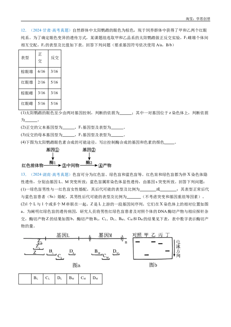 专题13伴性遗传和人类遗传病-好题汇编十年（2015-2024）高考生物真题分类汇编（全国通用）（原卷版）_生物真题汇总_十年（2014-2024）高考生物真题分项汇编（全国通用）