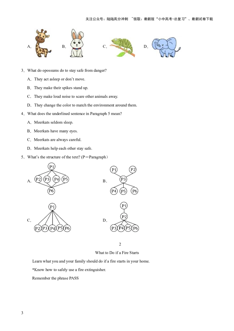 23.主题阅读-安全救护(解析版)_02中考总复习（2026版更新中）_03-英语-中考总复习_2025中考复习资料_2025年中考英语一轮复习阅读理解精讲精练(通用版)