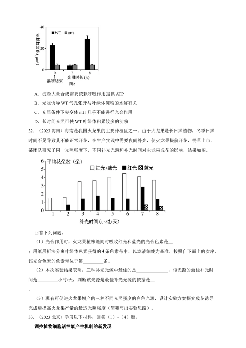 专题06光合作用_生物真题汇总_&radic;近三年（2023-2025）高考生物真题分专项精编_真题分专项汇编