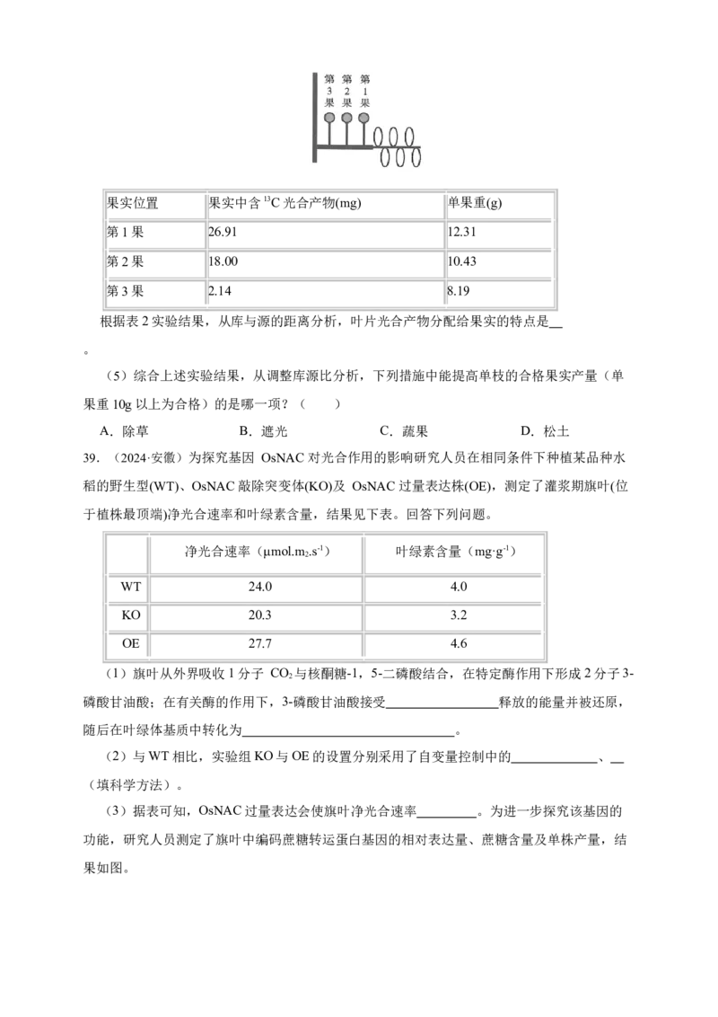专题06光合作用_生物真题汇总_&radic;近三年（2023-2025）高考生物真题分专项精编_真题分专项汇编