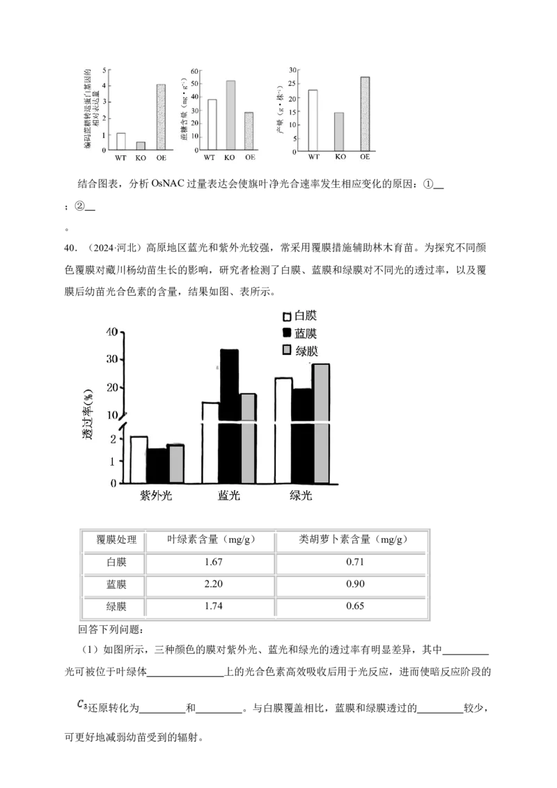 专题06光合作用_生物真题汇总_&radic;近三年（2023-2025）高考生物真题分专项精编_真题分专项汇编