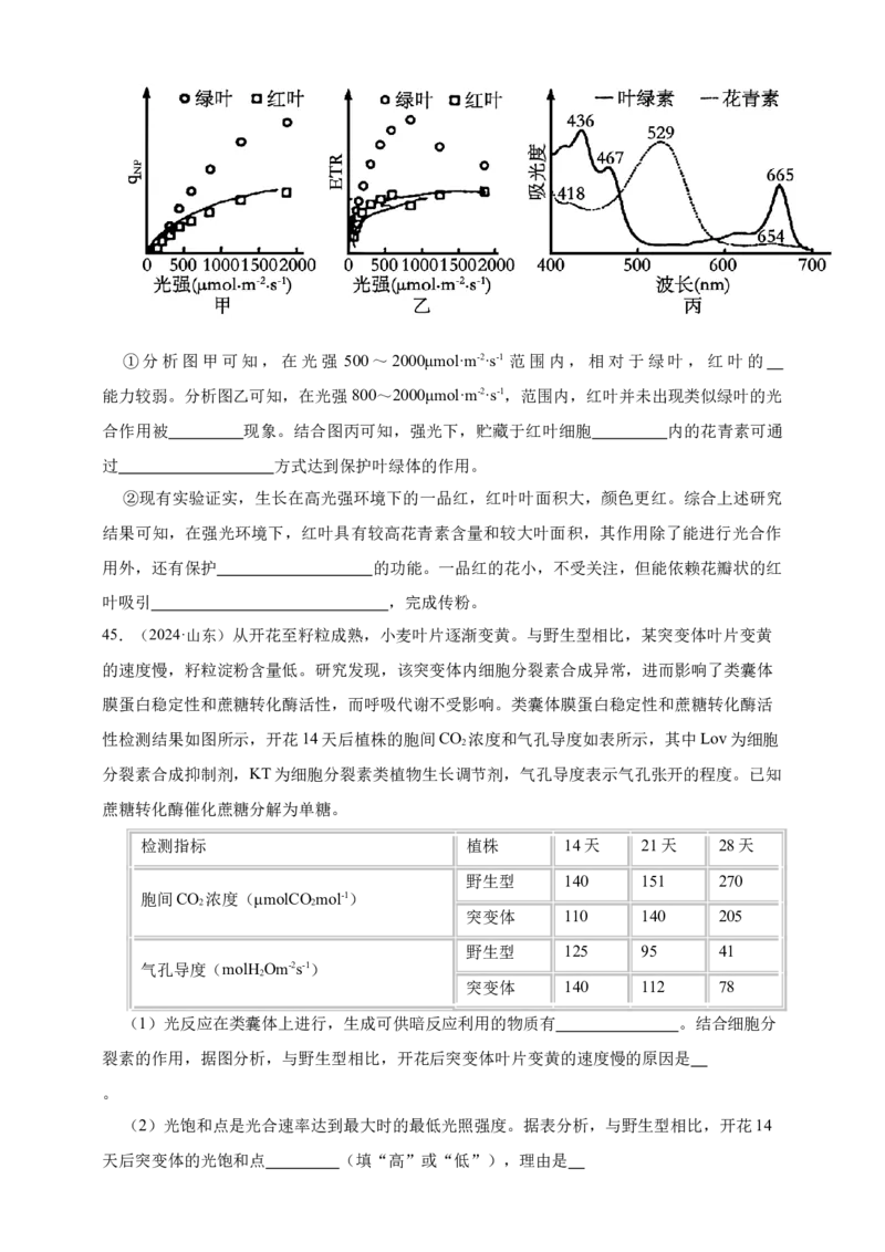专题06光合作用_生物真题汇总_&radic;近三年（2023-2025）高考生物真题分专项精编_真题分专项汇编