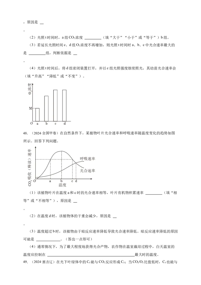 专题06光合作用_生物真题汇总_&radic;近三年（2023-2025）高考生物真题分专项精编_真题分专项汇编