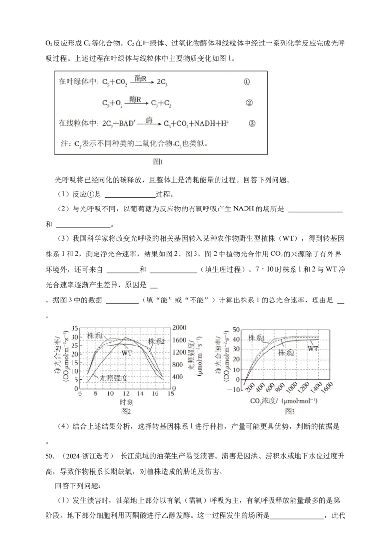 专题06光合作用_生物真题汇总_&radic;近三年（2023-2025）高考生物真题分专项精编_真题分专项汇编