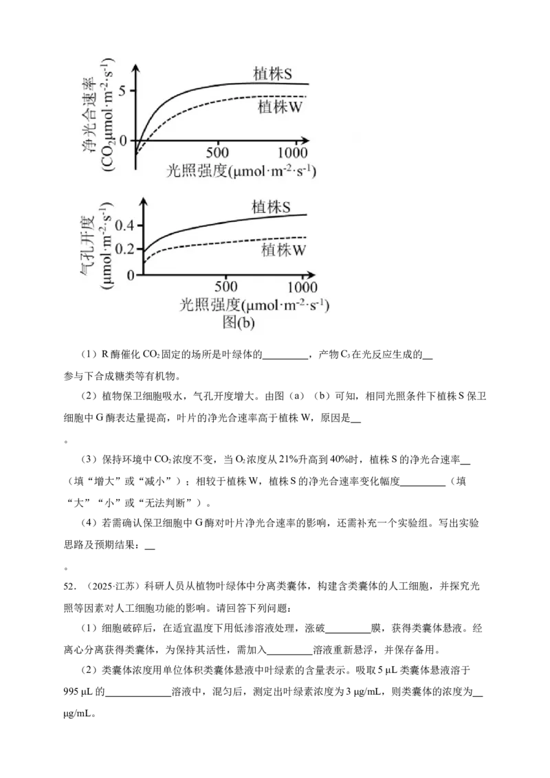 专题06光合作用_生物真题汇总_&radic;近三年（2023-2025）高考生物真题分专项精编_真题分专项汇编