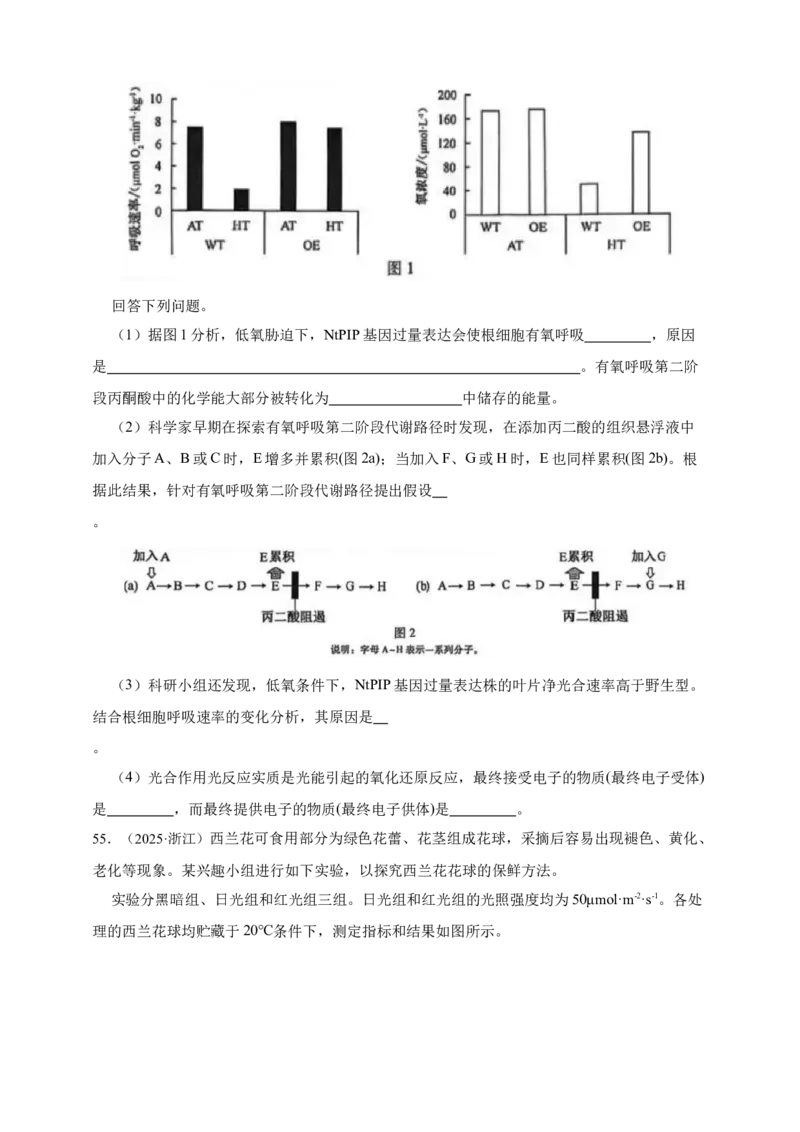 专题06光合作用_生物真题汇总_&radic;近三年（2023-2025）高考生物真题分专项精编_真题分专项汇编