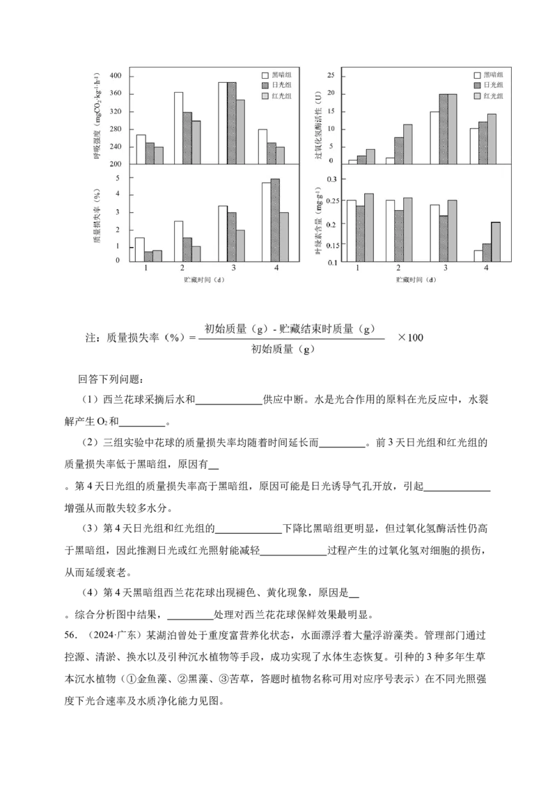 专题06光合作用_生物真题汇总_&radic;近三年（2023-2025）高考生物真题分专项精编_真题分专项汇编