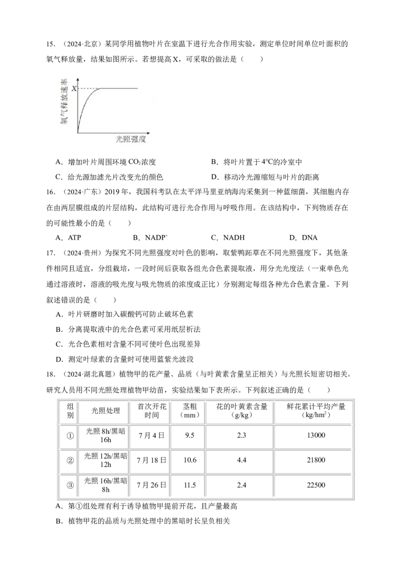 专题06光合作用_生物真题汇总_&radic;近三年（2023-2025）高考生物真题分专项精编_真题分专项汇编