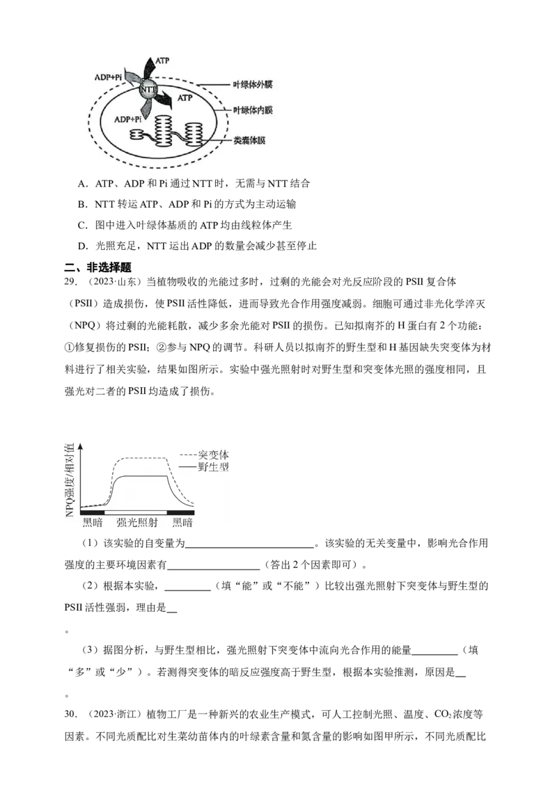 专题06光合作用_生物真题汇总_&radic;近三年（2023-2025）高考生物真题分专项精编_真题分专项汇编