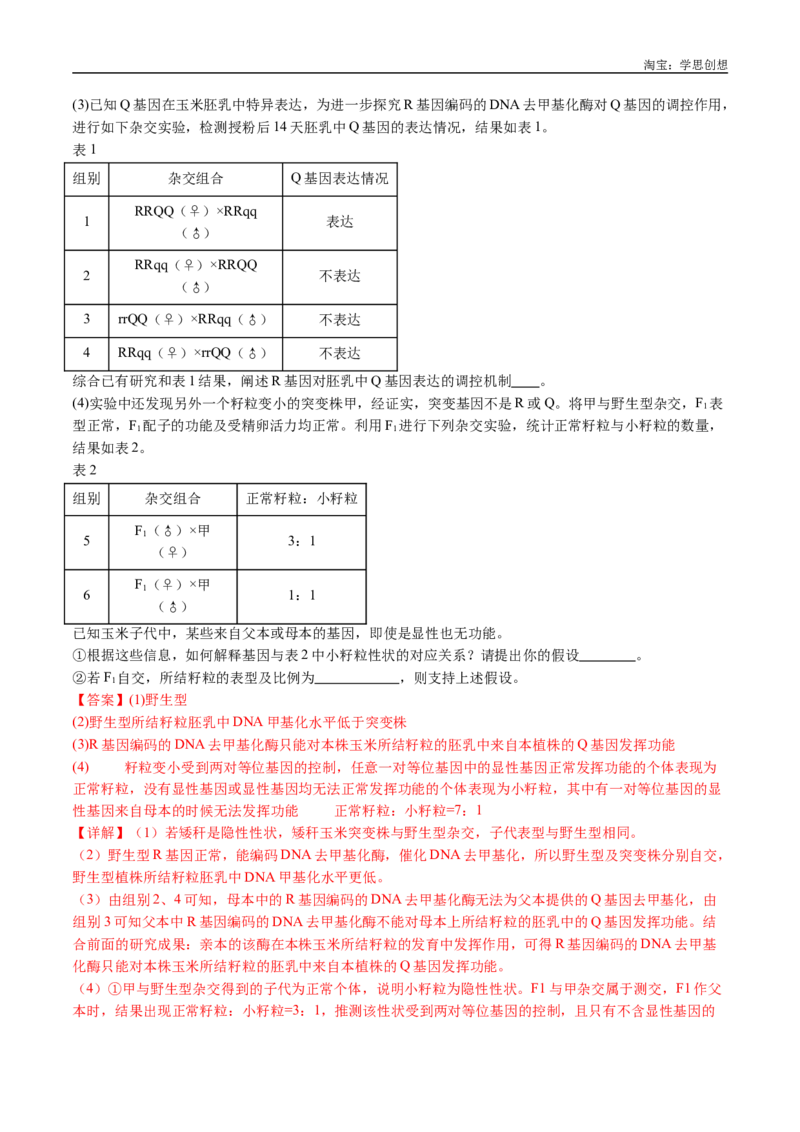 专题11基因的分离定律-好题汇编十年（2015-2024）高考生物真题分类汇编（全国通用）（解析版）_生物真题汇总_十年（2014-2024）高考生物真题分项汇编（全国通用）