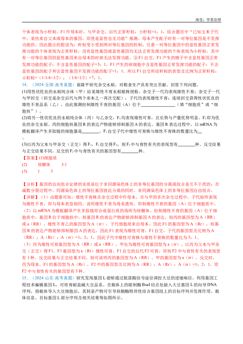 专题11基因的分离定律-好题汇编十年（2015-2024）高考生物真题分类汇编（全国通用）（解析版）_生物真题汇总_十年（2014-2024）高考生物真题分项汇编（全国通用）