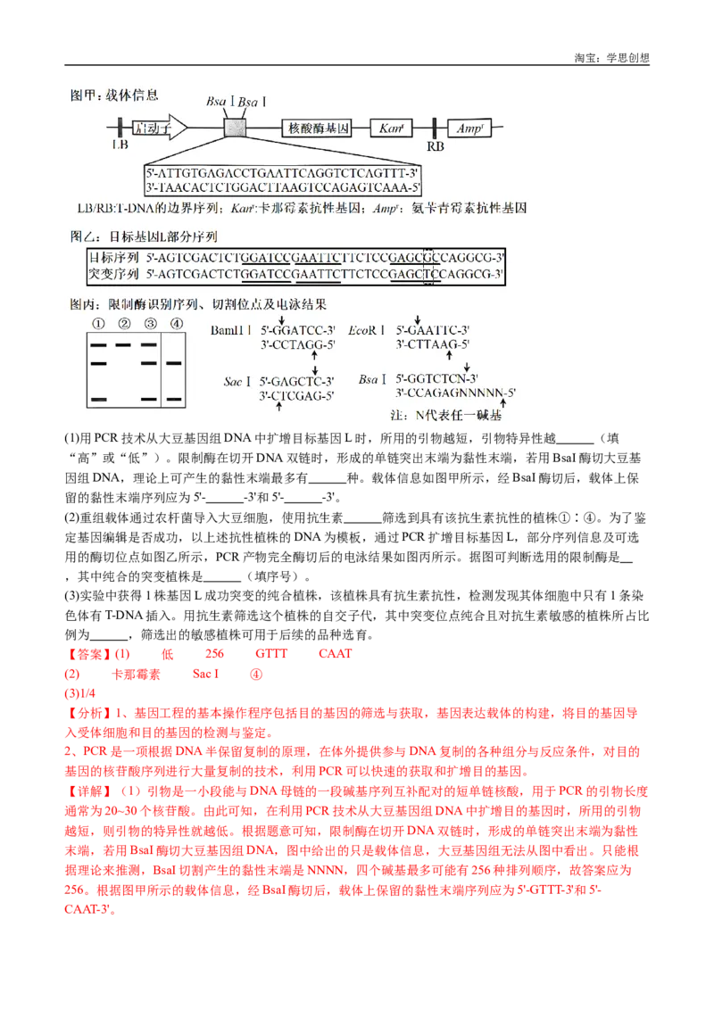 专题11基因的分离定律-好题汇编十年（2015-2024）高考生物真题分类汇编（全国通用）（解析版）_生物真题汇总_十年（2014-2024）高考生物真题分项汇编（全国通用）