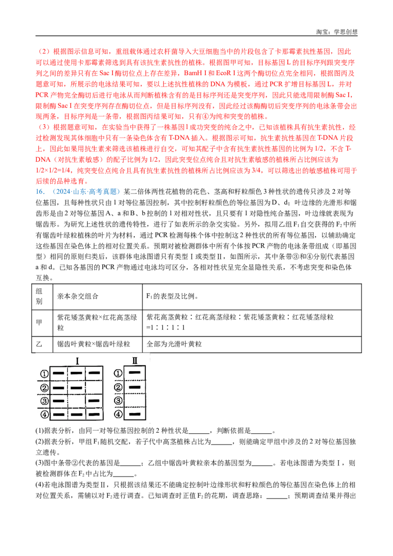 专题11基因的分离定律-好题汇编十年（2015-2024）高考生物真题分类汇编（全国通用）（解析版）_生物真题汇总_十年（2014-2024）高考生物真题分项汇编（全国通用）
