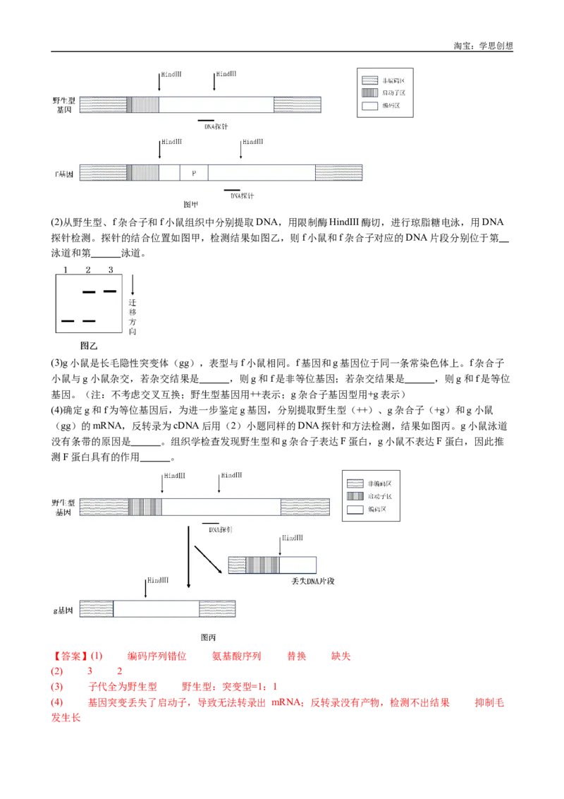 专题11基因的分离定律-好题汇编十年（2015-2024）高考生物真题分类汇编（全国通用）（解析版）_生物真题汇总_十年（2014-2024）高考生物真题分项汇编（全国通用）