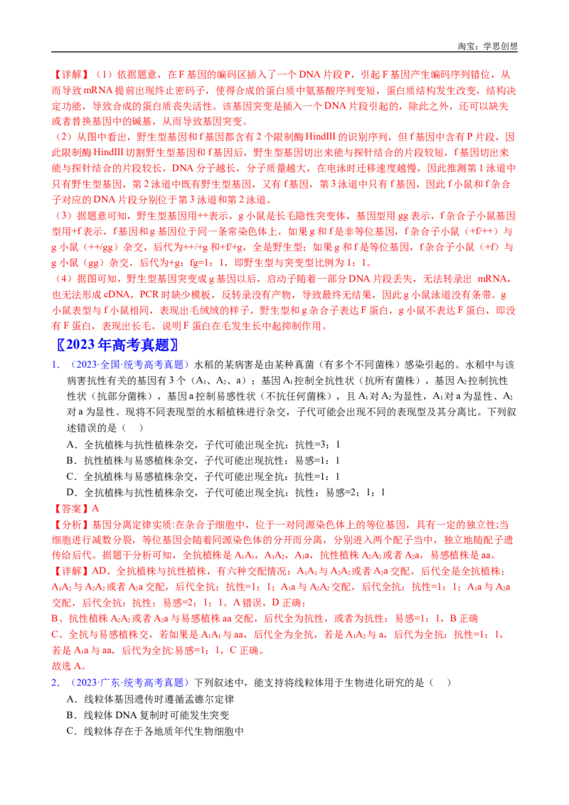 专题11基因的分离定律-好题汇编十年（2015-2024）高考生物真题分类汇编（全国通用）（解析版）_生物真题汇总_十年（2014-2024）高考生物真题分项汇编（全国通用）
