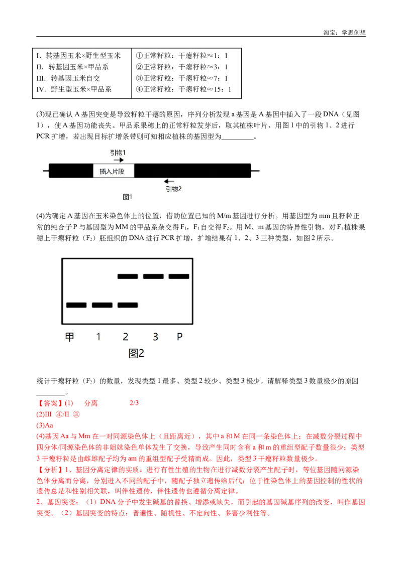 专题11基因的分离定律-好题汇编十年（2015-2024）高考生物真题分类汇编（全国通用）（解析版）_生物真题汇总_十年（2014-2024）高考生物真题分项汇编（全国通用）