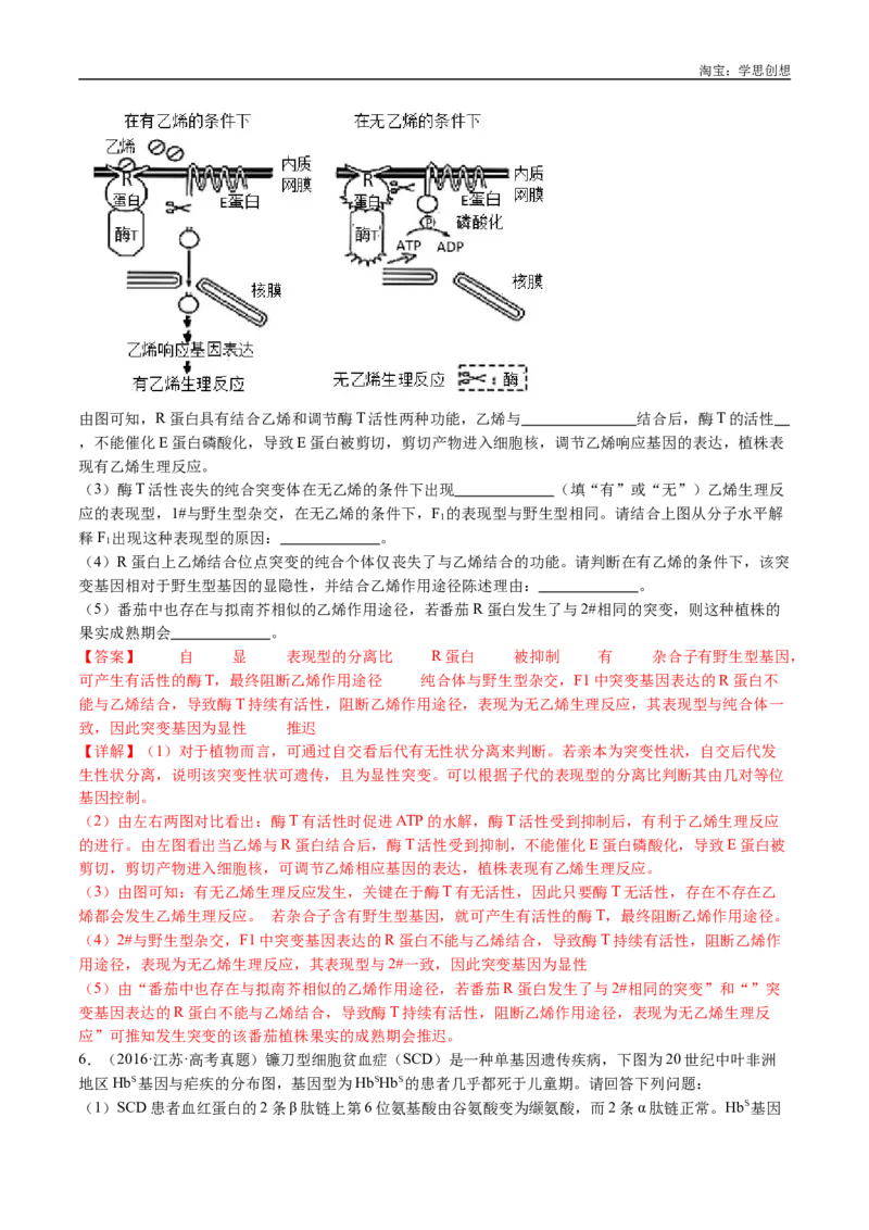 专题11基因的分离定律-好题汇编十年（2015-2024）高考生物真题分类汇编（全国通用）（解析版）_生物真题汇总_十年（2014-2024）高考生物真题分项汇编（全国通用）