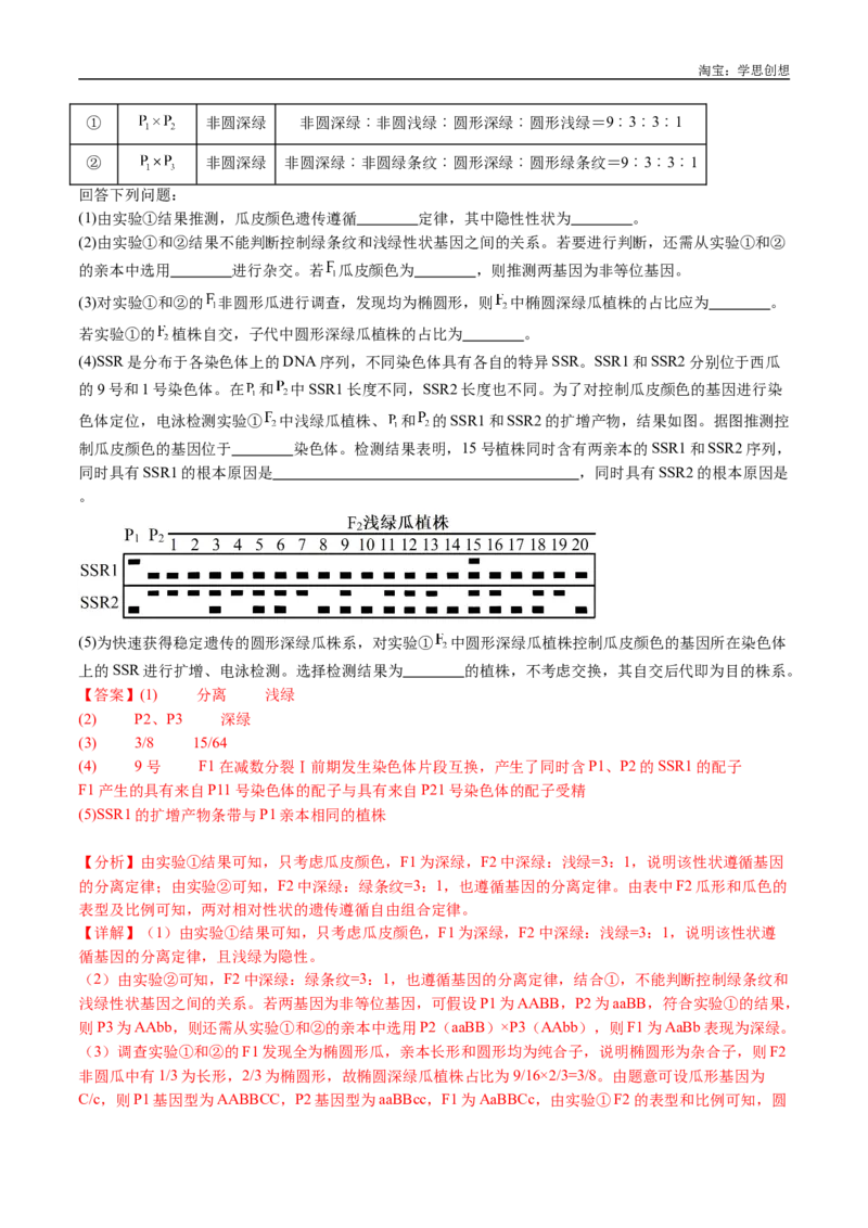 专题11基因的分离定律-好题汇编十年（2015-2024）高考生物真题分类汇编（全国通用）（解析版）_生物真题汇总_十年（2014-2024）高考生物真题分项汇编（全国通用）