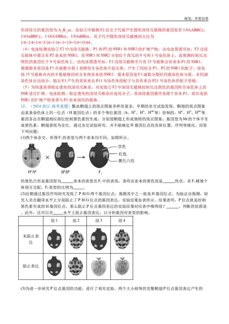 专题11基因的分离定律-好题汇编十年（2015-2024）高考生物真题分类汇编（全国通用）（解析版）_生物真题汇总_十年（2014-2024）高考生物真题分项汇编（全国通用）