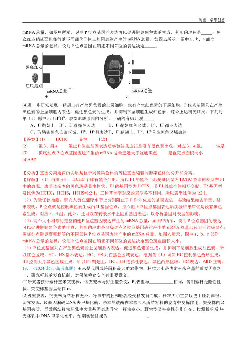 专题11基因的分离定律-好题汇编十年（2015-2024）高考生物真题分类汇编（全国通用）（解析版）_生物真题汇总_十年（2014-2024）高考生物真题分项汇编（全国通用）