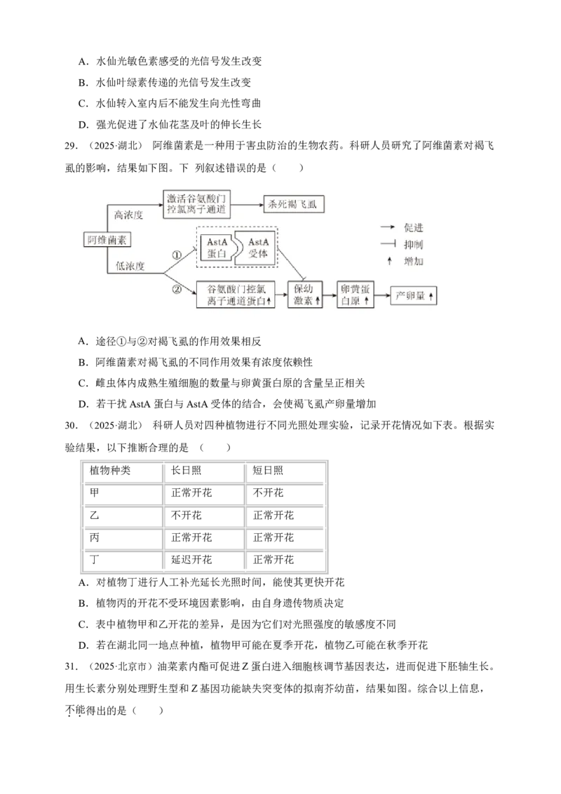 专题15植物生命活动的调节_生物真题汇总_&radic;近三年（2023-2025）高考生物真题分专项精编_真题分专项汇编
