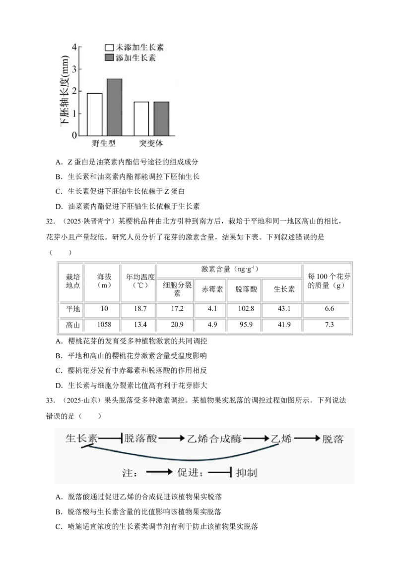 专题15植物生命活动的调节_生物真题汇总_&radic;近三年（2023-2025）高考生物真题分专项精编_真题分专项汇编