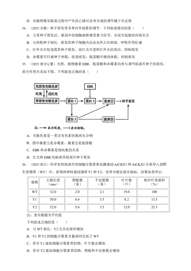 专题15植物生命活动的调节_生物真题汇总_&radic;近三年（2023-2025）高考生物真题分专项精编_真题分专项汇编