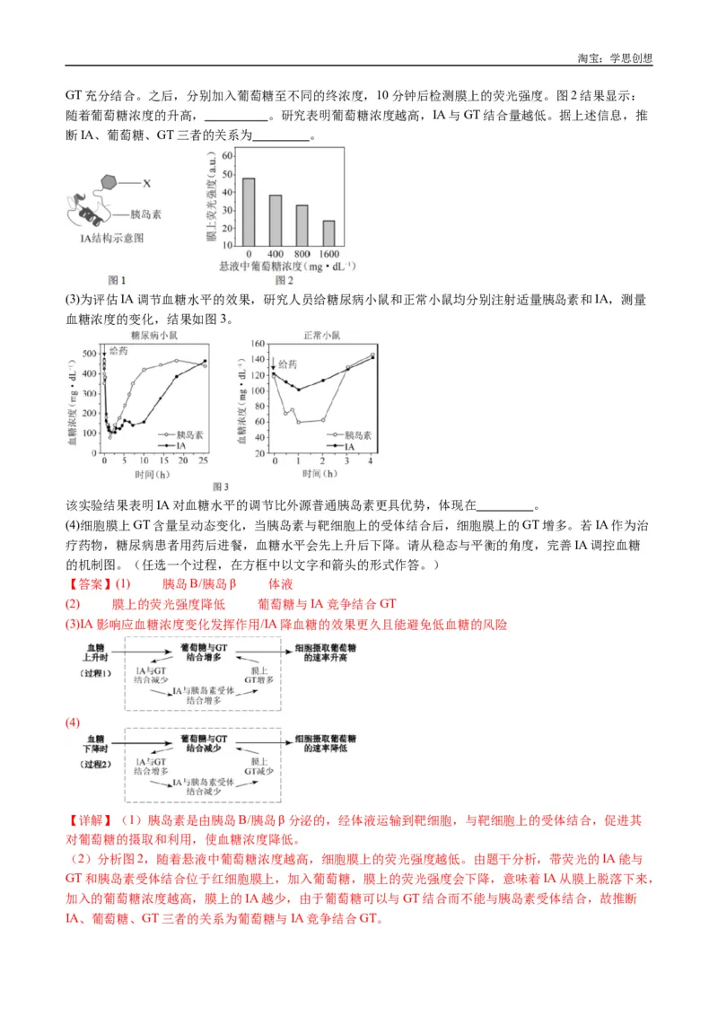 专题18体液调节-好题汇编十年（2015-2024）高考生物真题分类汇编（全国通用）（解析版）_生物真题汇总_十年（2014-2024）高考生物真题分项汇编（全国通用）