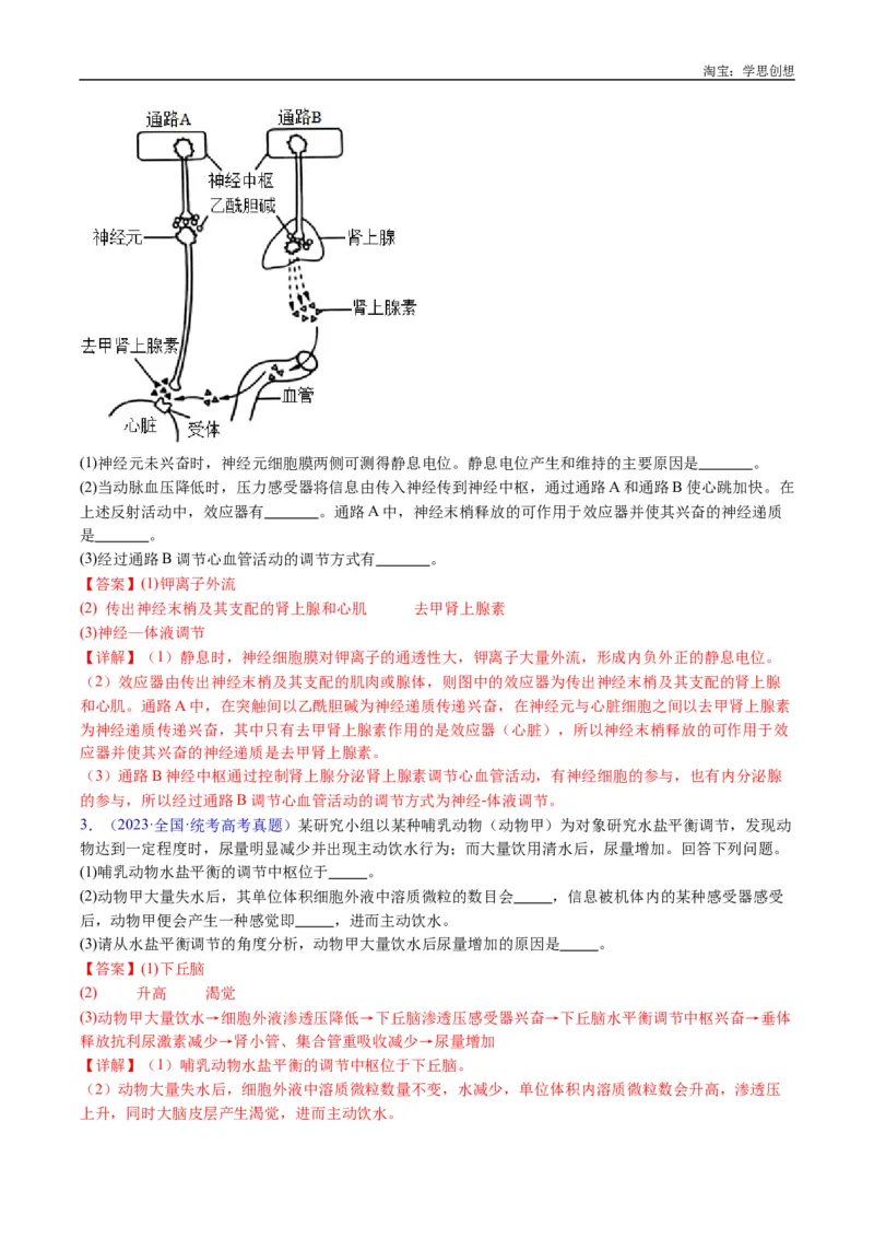 专题18体液调节-好题汇编十年（2015-2024）高考生物真题分类汇编（全国通用）（解析版）_生物真题汇总_十年（2014-2024）高考生物真题分项汇编（全国通用）