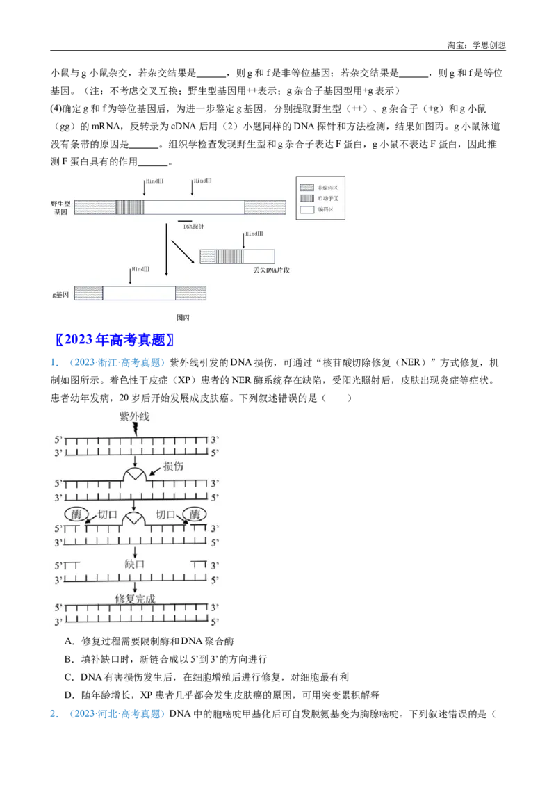 专题14变异、育种与进化-好题汇编十年（2015-2024）高考生物真题分类汇编（全国通用）（原卷版）_生物真题汇总_十年（2014-2024）高考生物真题分项汇编（全国通用）