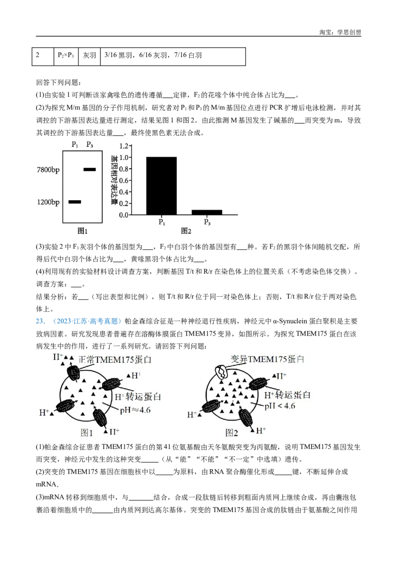 专题14变异、育种与进化-好题汇编十年（2015-2024）高考生物真题分类汇编（全国通用）（原卷版）_生物真题汇总_十年（2014-2024）高考生物真题分项汇编（全国通用）